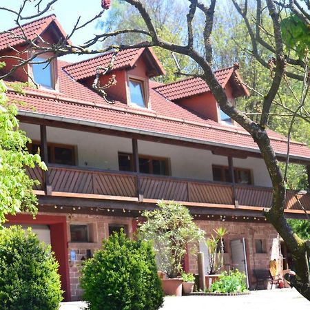 Ferienwohnungen Hof Heiderich Oberzent Eksteriør billede